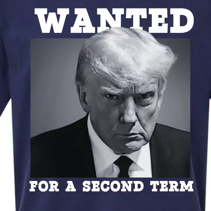 Trump 2024 Wanted For A 2nd Term Sueded Cloud Jersey T-Shirt