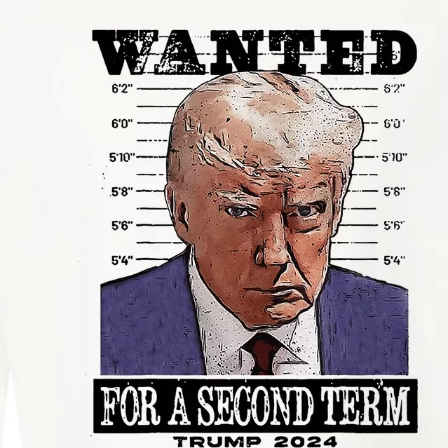 Trump 2024 Wanted For A 2nd Term Cropped Pullover Crew