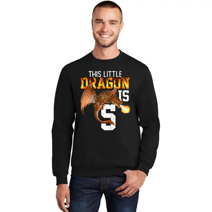 Turning 5 Year Old Birthday Gift Dragon 5th Bday Sweatshirt