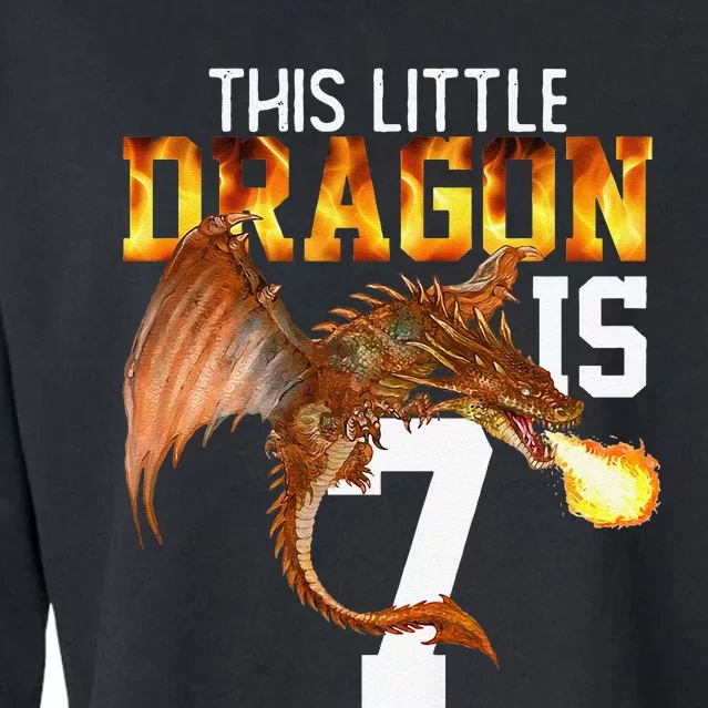 Turning 7 Year Old Birthday Gift Dragon 7th Bday Premium Cropped Pullover Crew