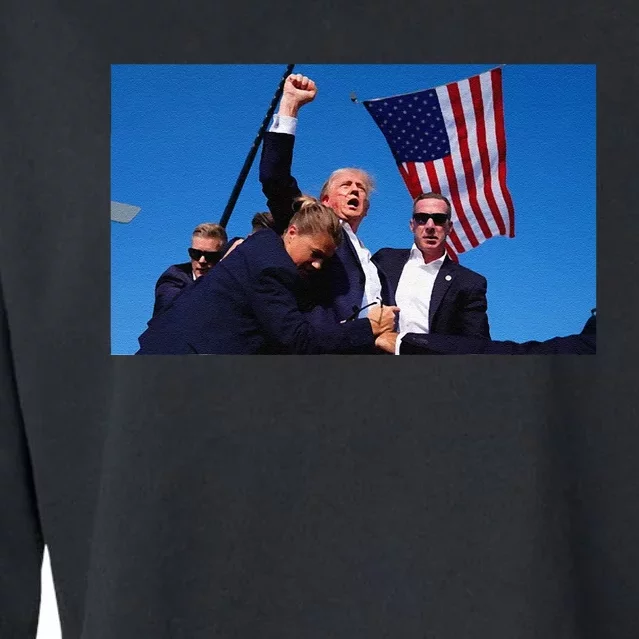 Trump Assassination Attempt Fight! Cropped Pullover Crew