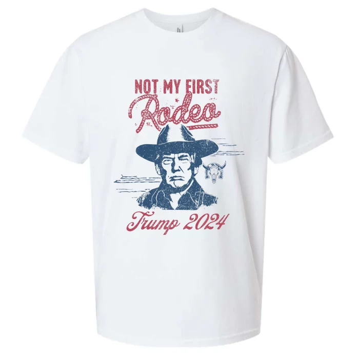 Take America Back Trump Cowboy Rodeo Election 2024 Sueded Cloud Jersey T-Shirt