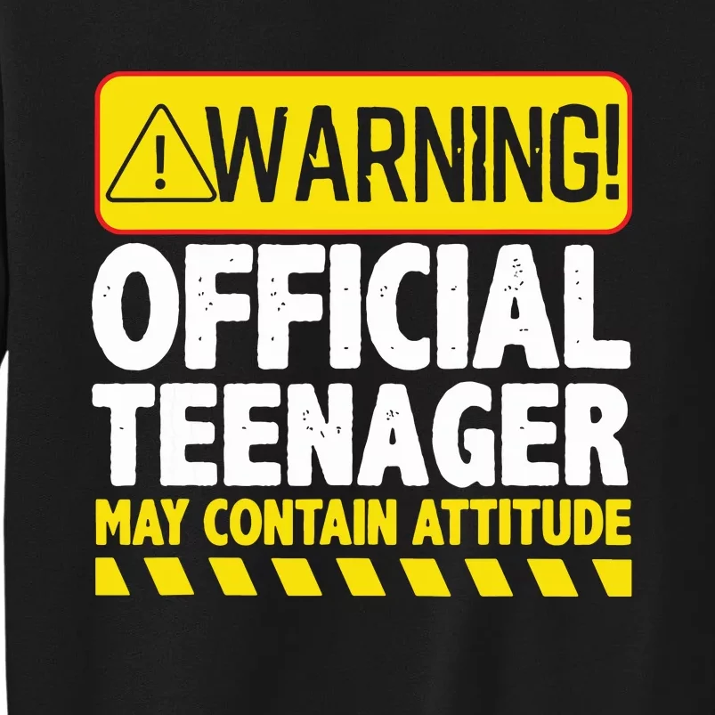 Teenager Art For Boy Girl Teen 13 Year Old Bday Sweatshirt