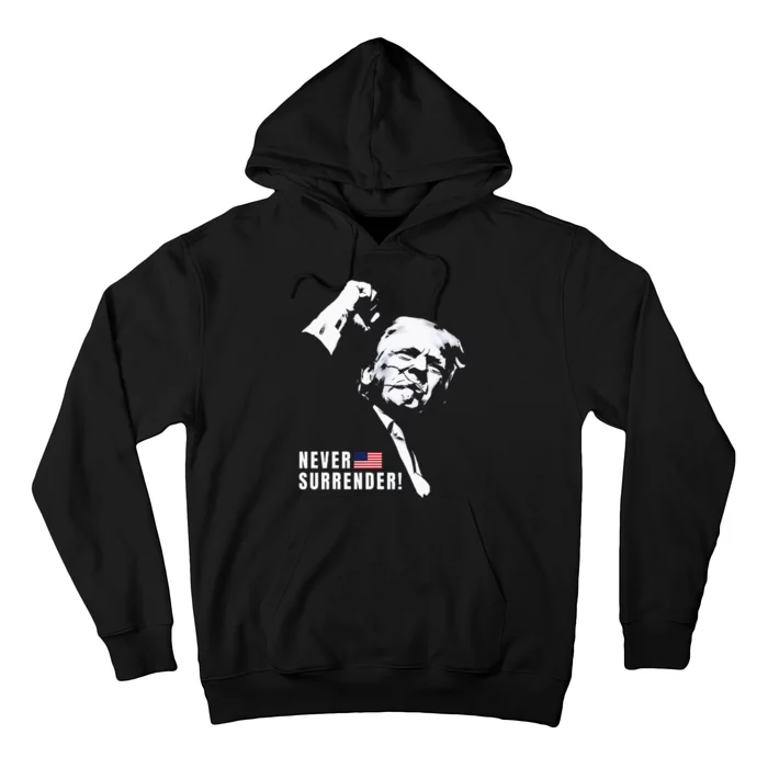 Trump Assassinated Injured In Pennsylvania July 13 2024 Hoodie