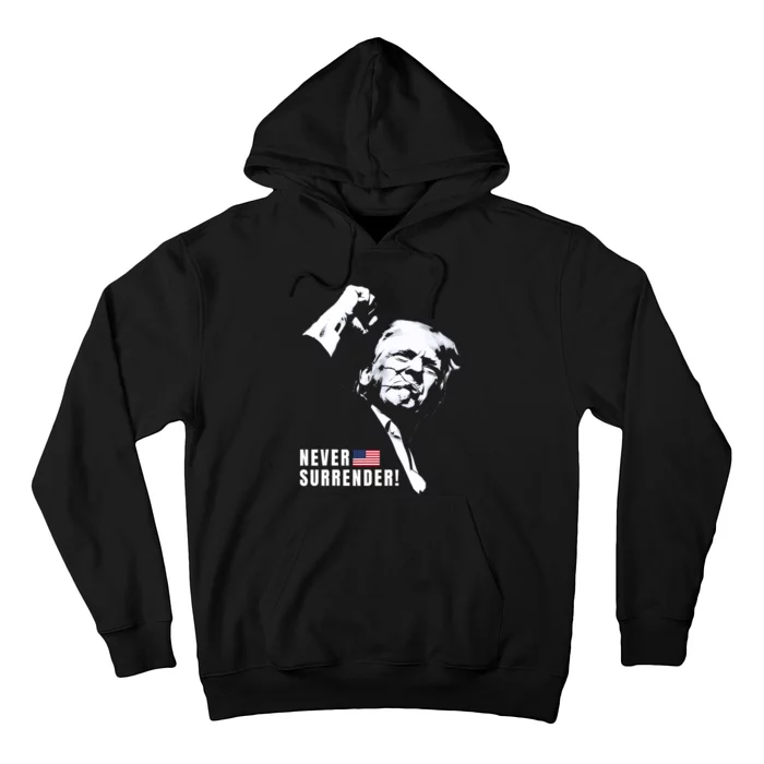 Trump Assassinated Injured In Pennsylvania July 13 2024 Hoodie