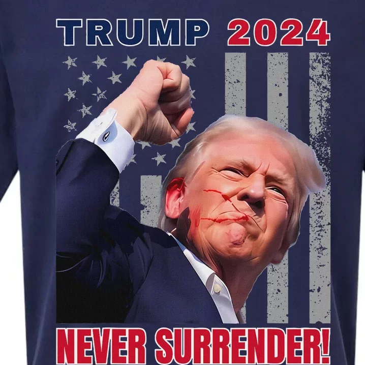 Trump Assassinated Injured Pennsylvania 2024 Design Sueded Cloud Jersey T-Shirt