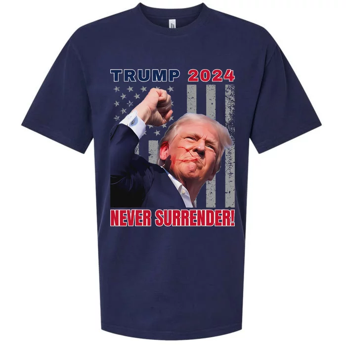 Trump Assassinated Injured Pennsylvania 2024 Design Sueded Cloud Jersey T-Shirt