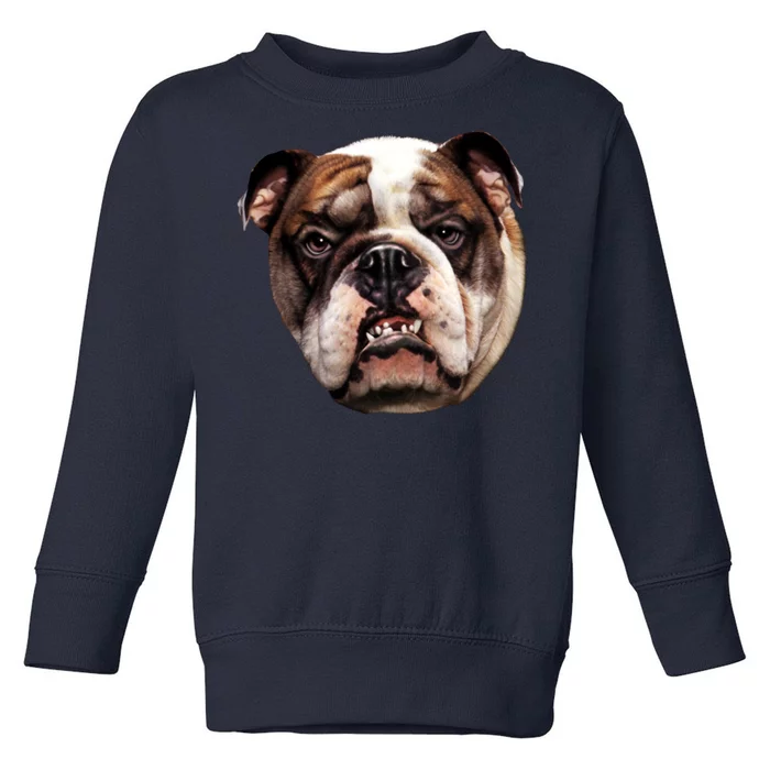 Tan Bulldog Toddler Sweatshirt