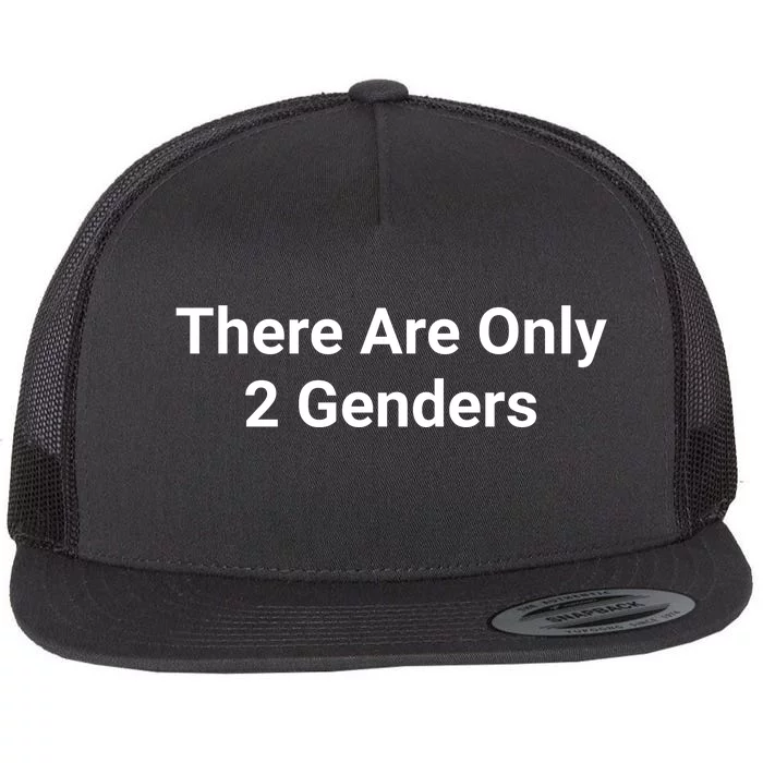 There Are Only 2 Genders Flat Bill Trucker Hat