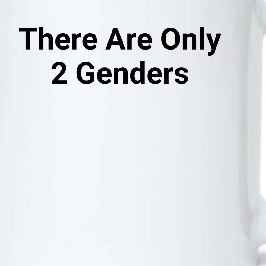 There Are Only 2 Genders Black Color Changing Mug