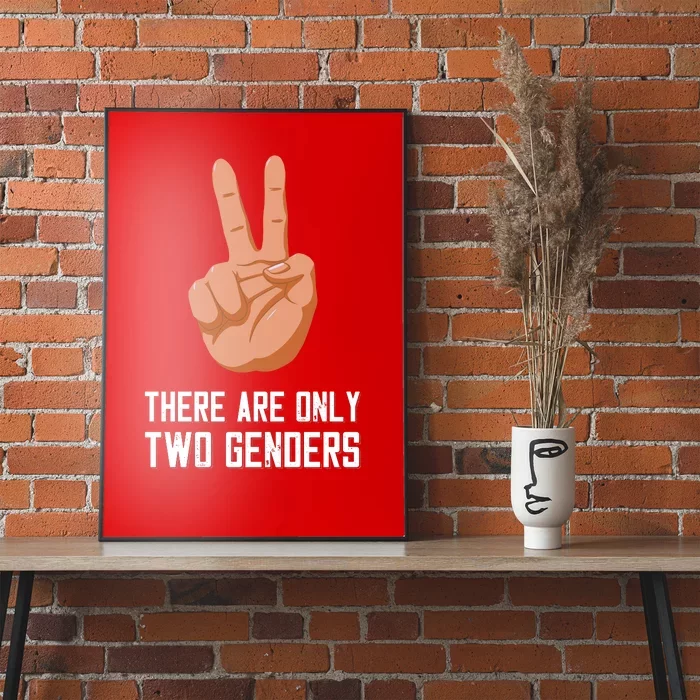 There Are Only Two Genders Poster