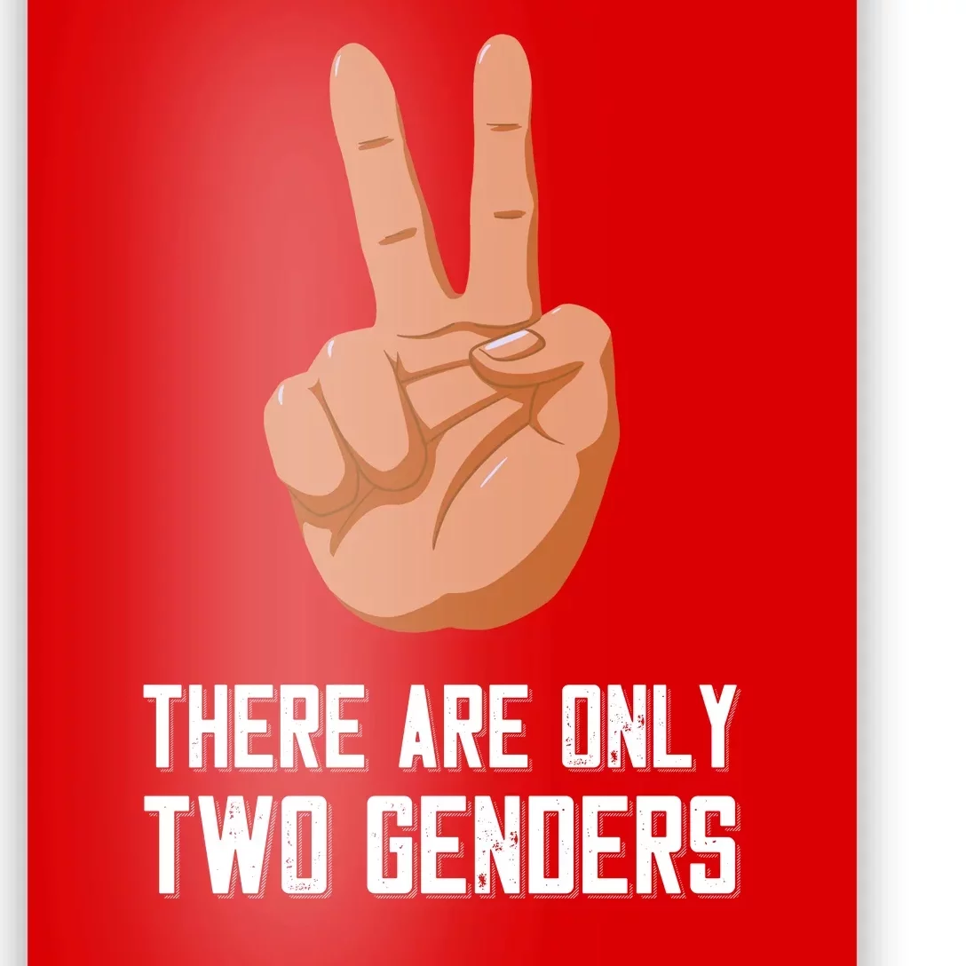 There Are Only Two Genders Poster