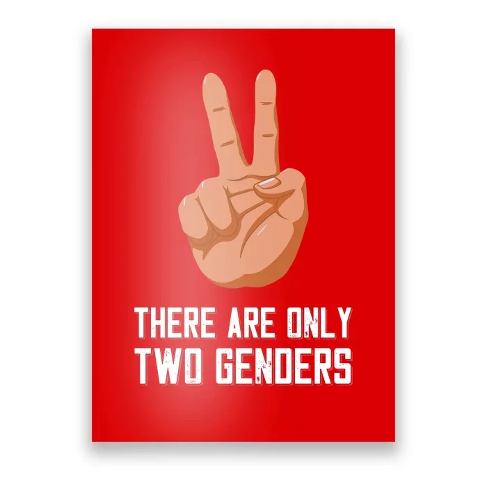 There Are Only Two Genders Poster