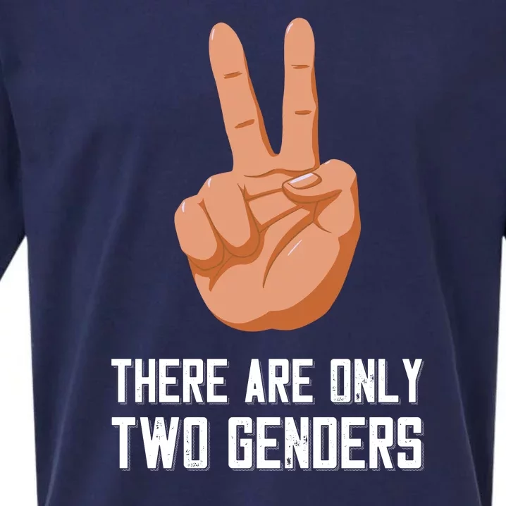 There Are Only Two Genders Sueded Cloud Jersey T-Shirt