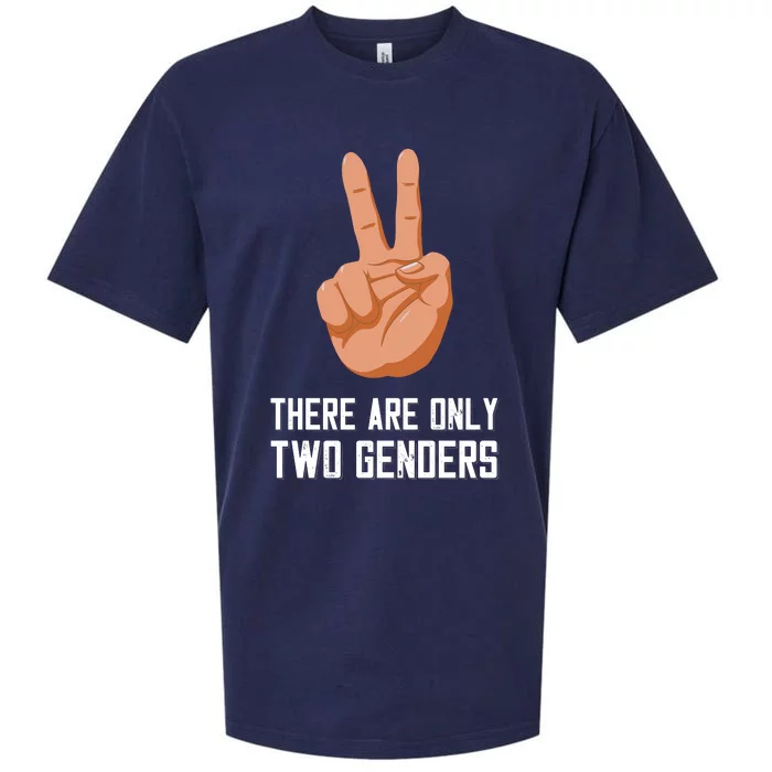 There Are Only Two Genders Sueded Cloud Jersey T-Shirt