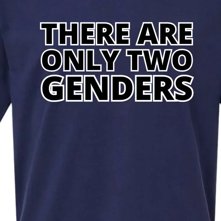 There Are Only Two Genders Sueded Cloud Jersey T-Shirt