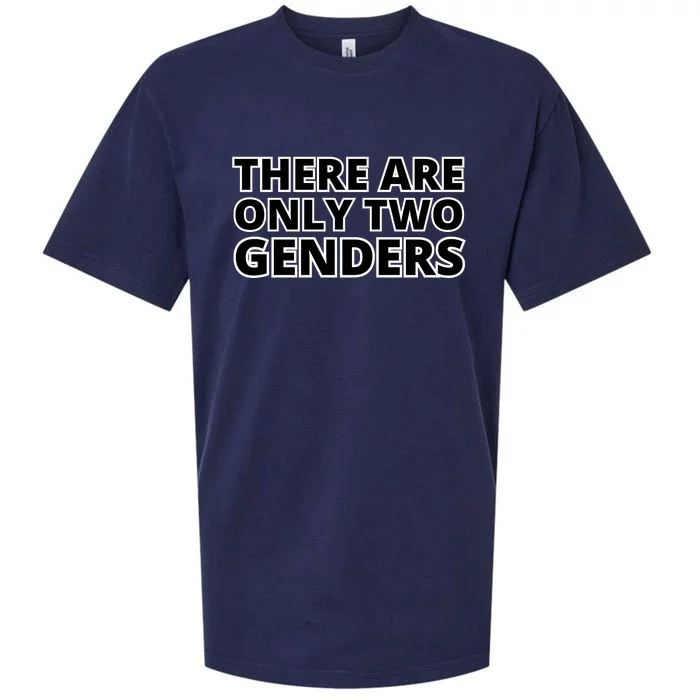 There Are Only Two Genders Sueded Cloud Jersey T-Shirt