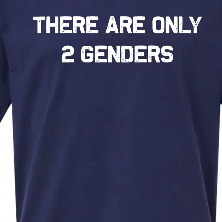 There Are Only 2 Genders Sueded Cloud Jersey T-Shirt