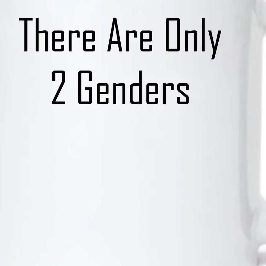 There Are Only 2 Genders Black Color Changing Mug