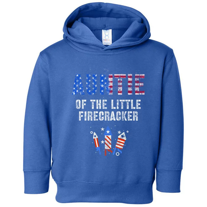 The Auntie Of The Little Firecracker 4th Of July Expecting Funny Gift Toddler Hoodie