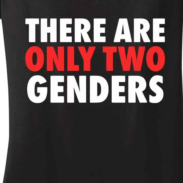 There Are Only Two Genders Women's V-Neck T-Shirt