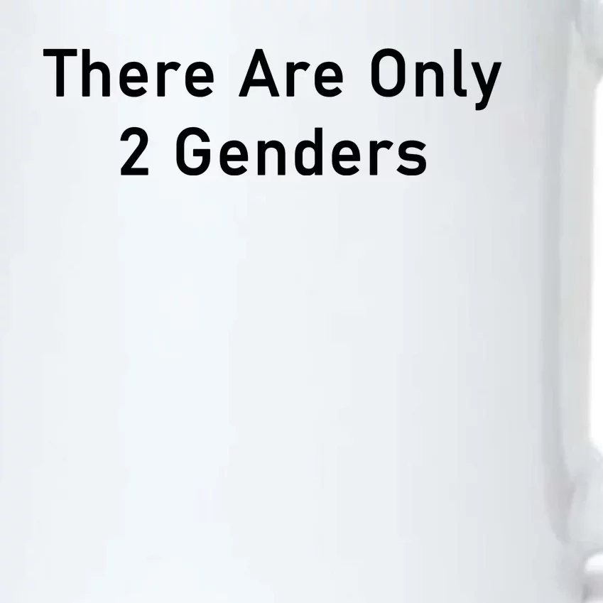 There Are Only 2 Genders Black Color Changing Mug