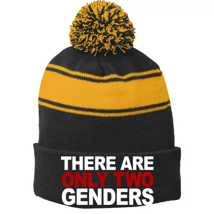 There Are Only Two Genders Stripe Pom Pom Beanie