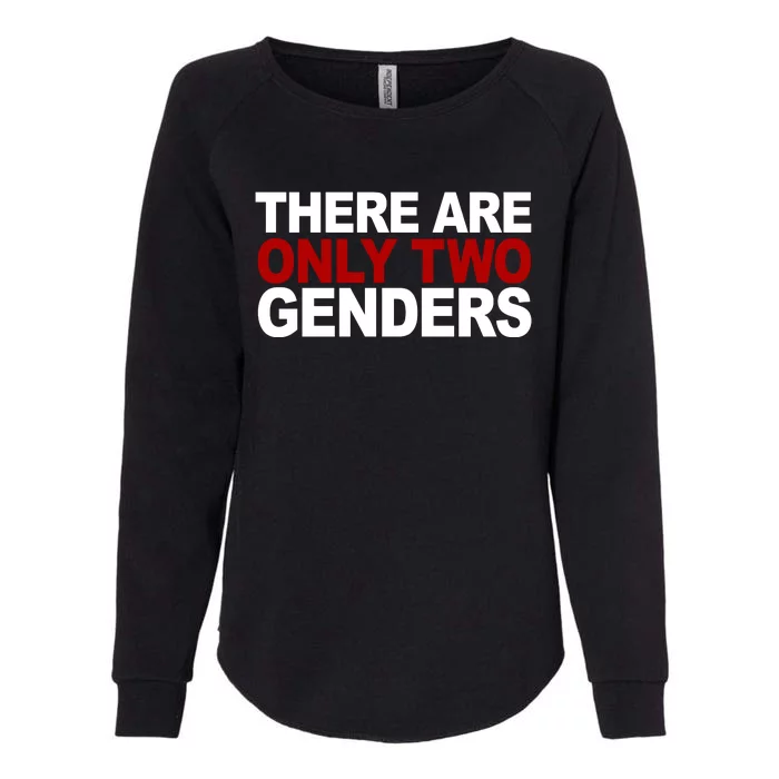 There Are Only Two Genders Womens California Wash Sweatshirt