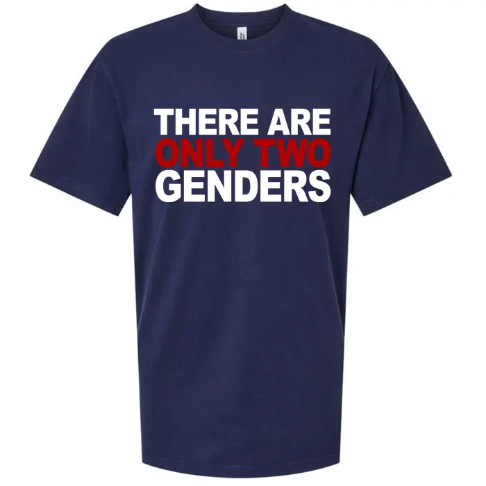 There Are Only Two Genders Sueded Cloud Jersey T-Shirt