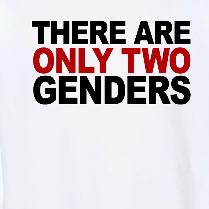 There Are Only Two Genders Garment-Dyed Sweatshirt