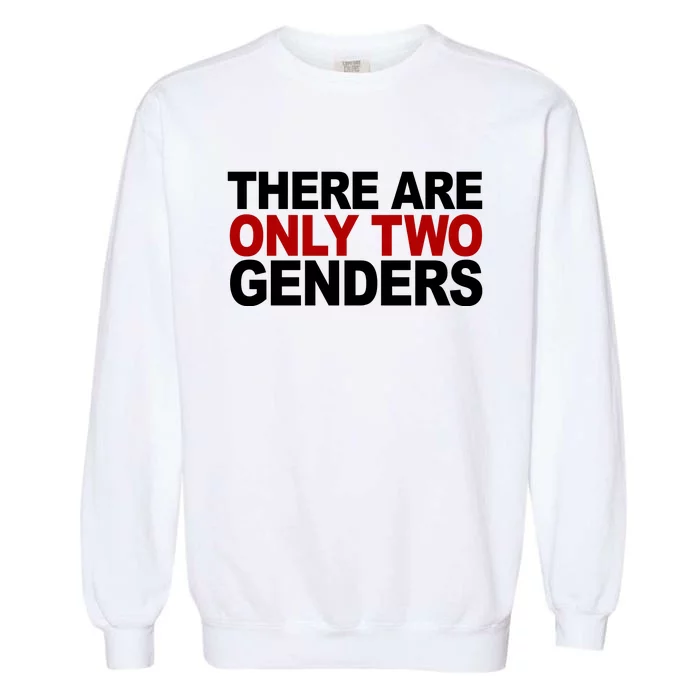 There Are Only Two Genders Garment-Dyed Sweatshirt