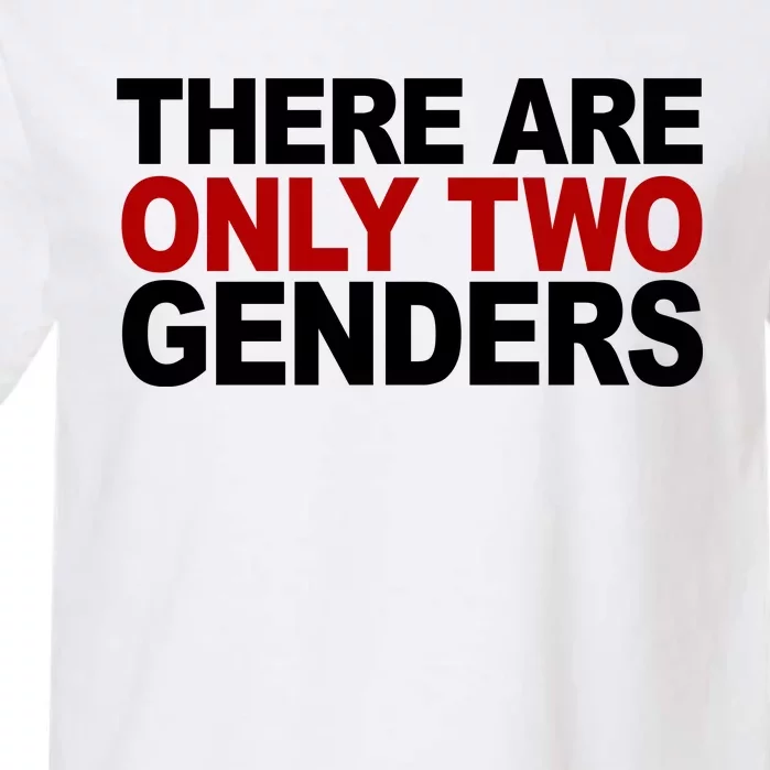 There Are Only Two Genders Garment-Dyed Heavyweight T-Shirt