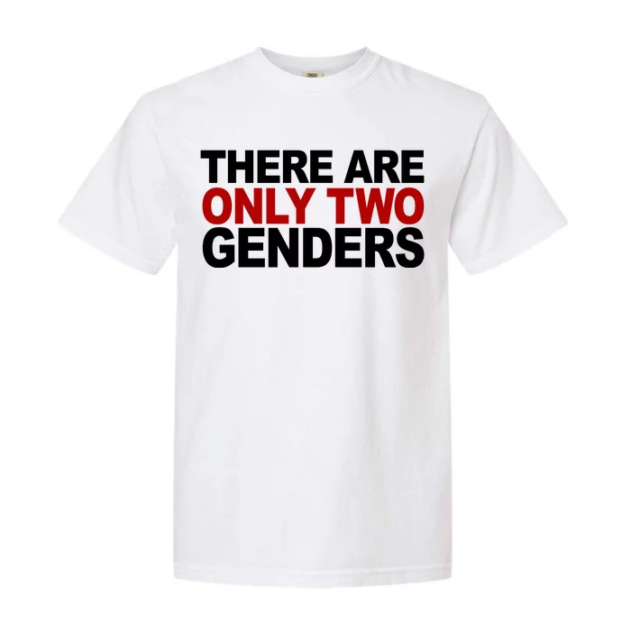 There Are Only Two Genders Garment-Dyed Heavyweight T-Shirt