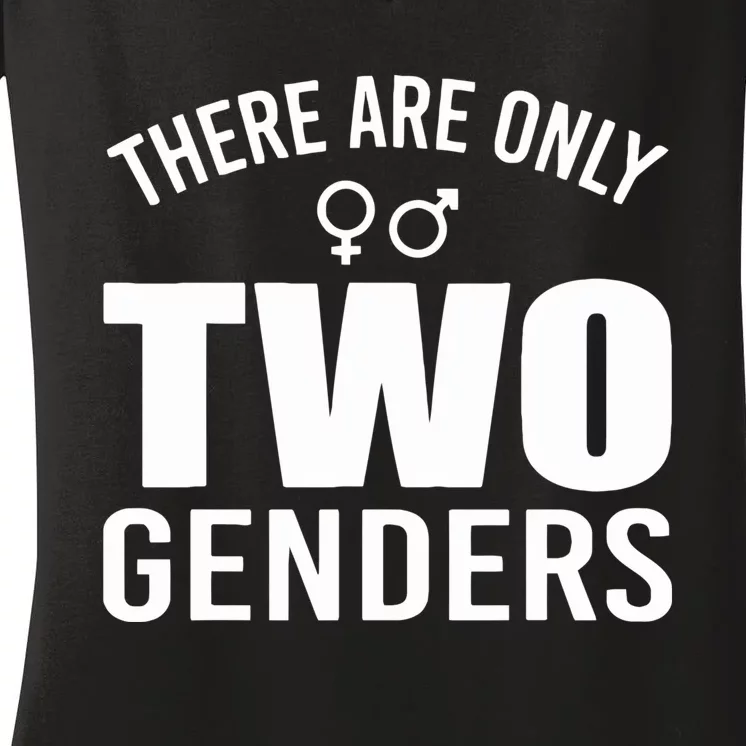 There Are Only Two Genders Gender Women's V-Neck T-Shirt