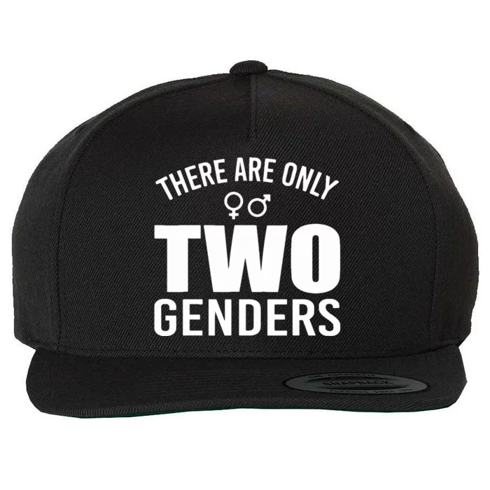 There Are Only Two Genders Gender Wool Snapback Cap