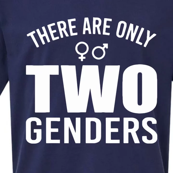 There Are Only Two Genders Gender Sueded Cloud Jersey T-Shirt