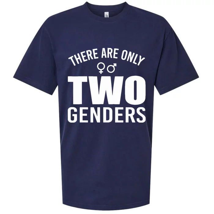 There Are Only Two Genders Gender Sueded Cloud Jersey T-Shirt