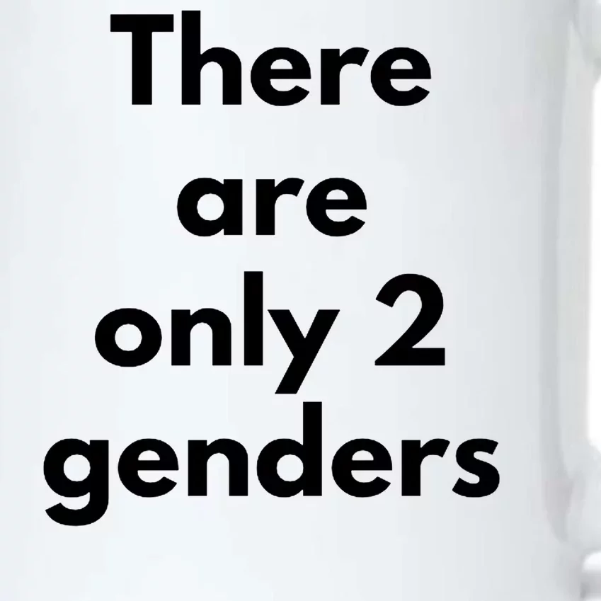 There Are Only 2 Genders Black Color Changing Mug