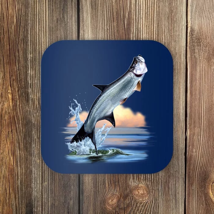 Tarpon Leap Coaster