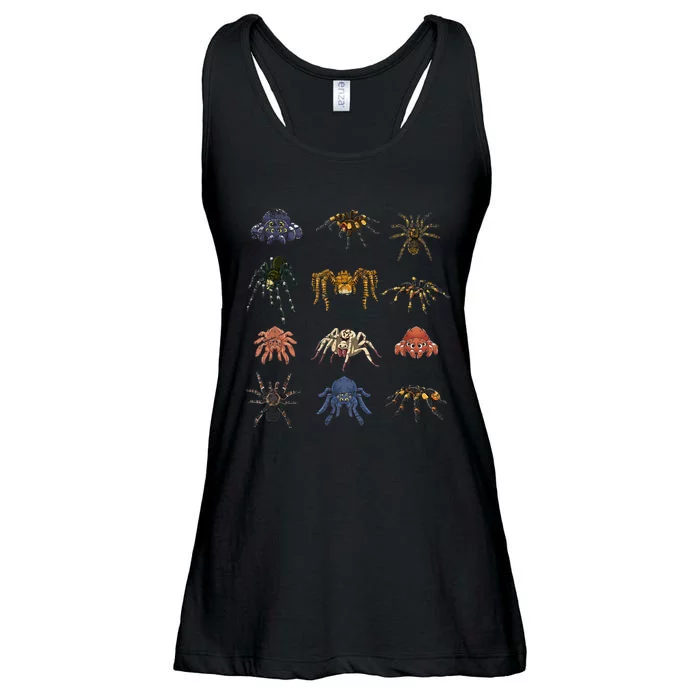 Tarantula Arthropod Spooky Halloween Arachnid Spider Ladies Essential Flowy Tank