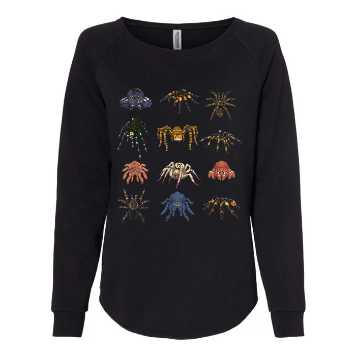 Tarantula Arthropod Spooky Halloween Arachnid Spider Womens California Wash Sweatshirt