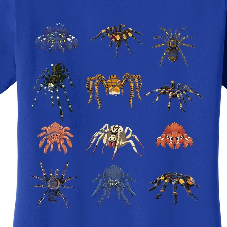 Tarantula Arthropod Spooky Halloween Gift Arachnid Spider Women's T-Shirt