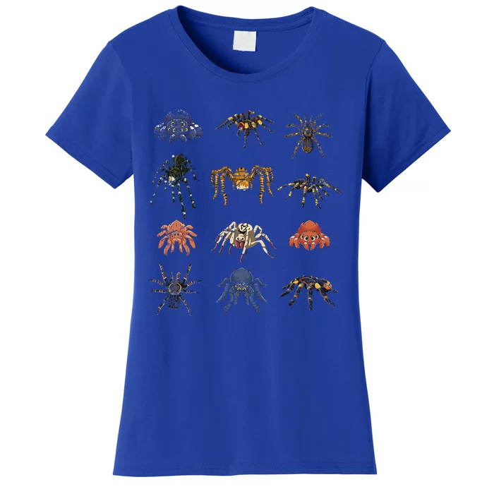 Tarantula Arthropod Spooky Halloween Gift Arachnid Spider Women's T-Shirt