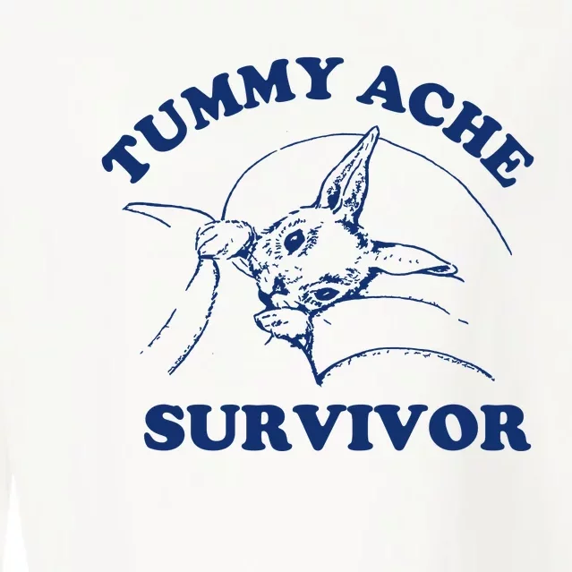 Tummy Ache Survivor Cropped Pullover Crew