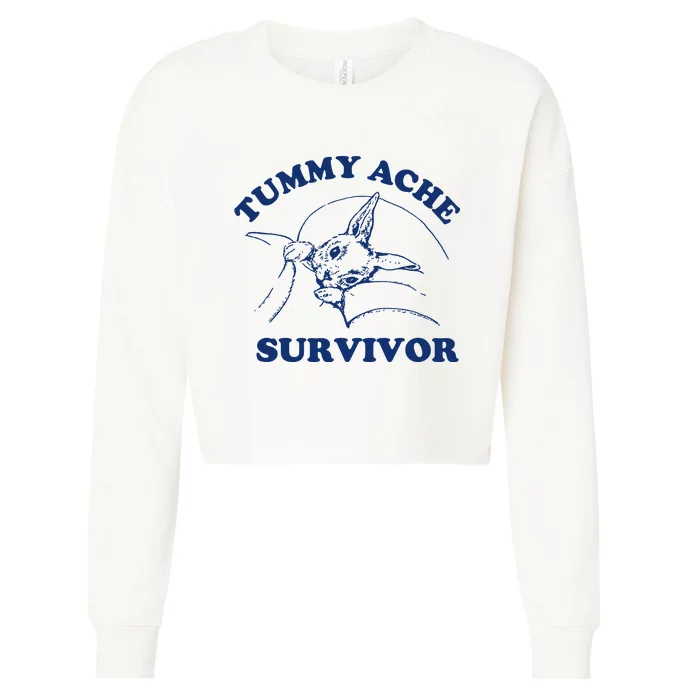 Tummy Ache Survivor Cropped Pullover Crew