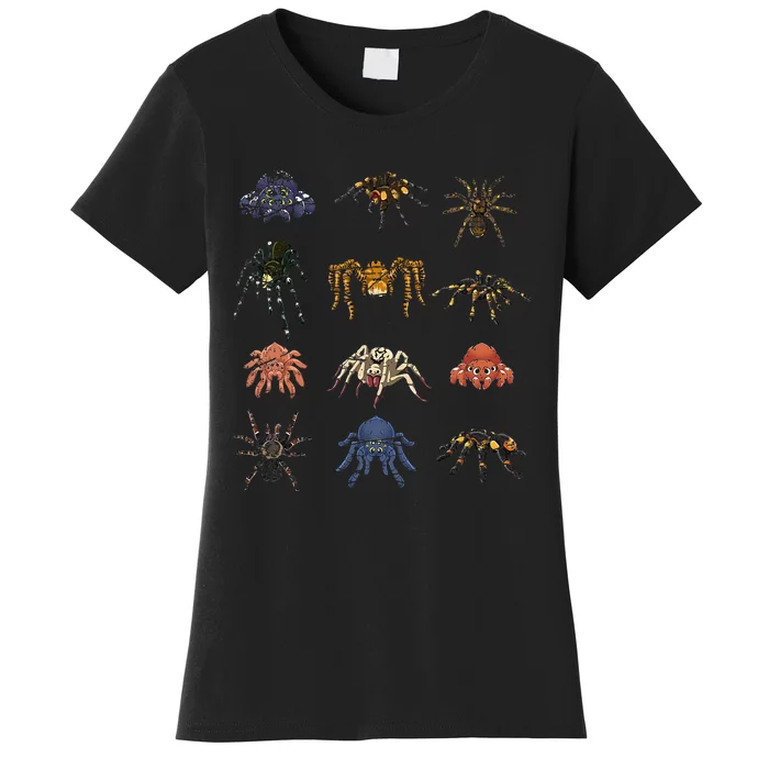 Tarantula Arthropod Spooky Halloween Gift Arachnid Spider Women's T-Shirt