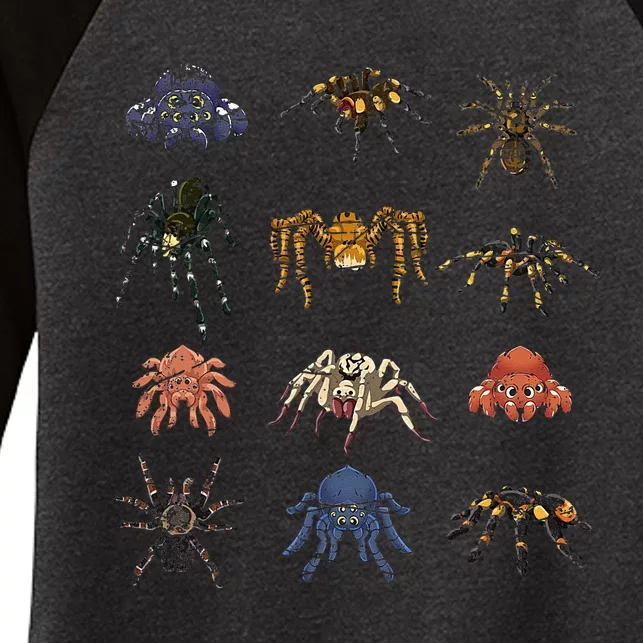 Tarantula Arthropod Spooky Halloween Gift Arachnid Spider Women's Tri-Blend 3/4-Sleeve Raglan Shirt