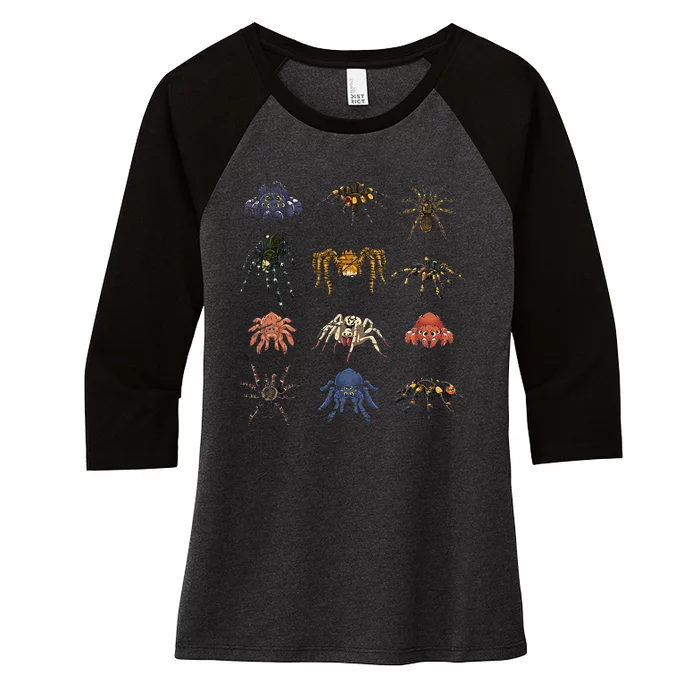 Tarantula Arthropod Spooky Halloween Gift Arachnid Spider Women's Tri-Blend 3/4-Sleeve Raglan Shirt