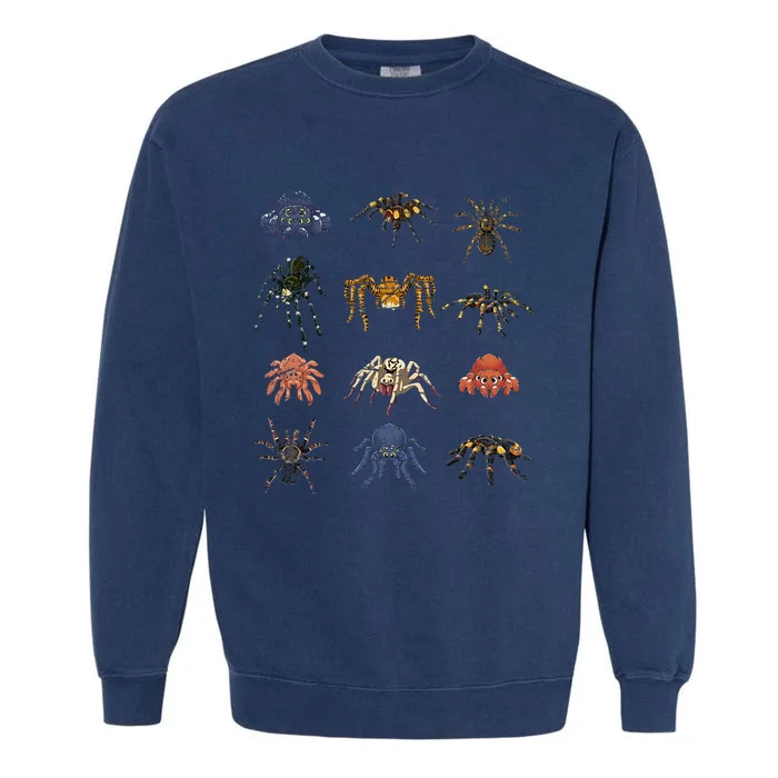 Tarantula Arthropod Spooky Halloween Gift Arachnid Spider Garment-Dyed Sweatshirt