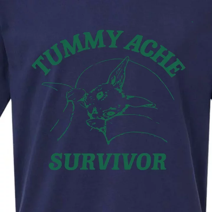 Tummy Ache Survivor Tummy Ache Sueded Cloud Jersey T-Shirt